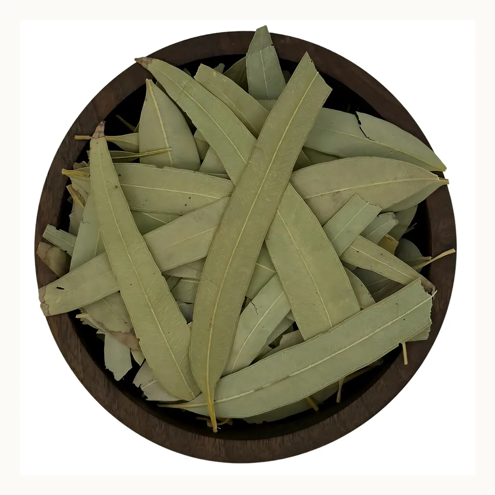 برگ اکالیپتوس