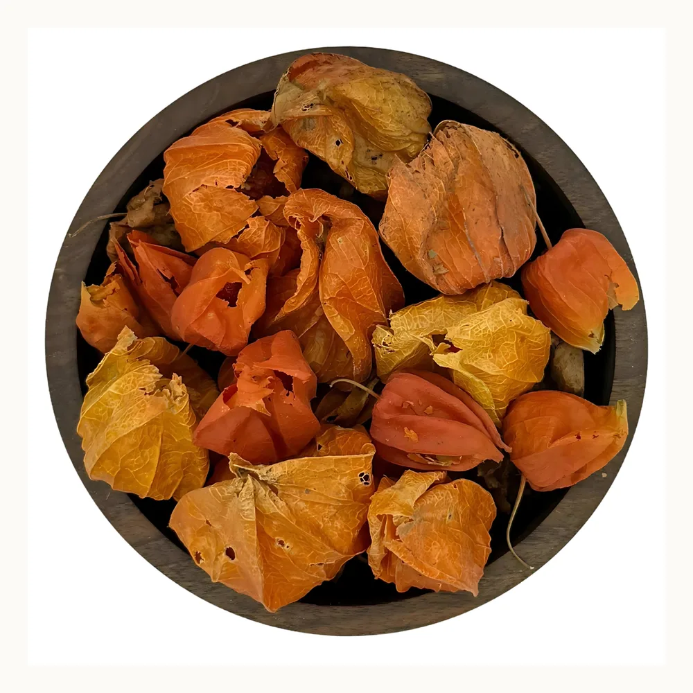فیسالیس | عطاری صفا